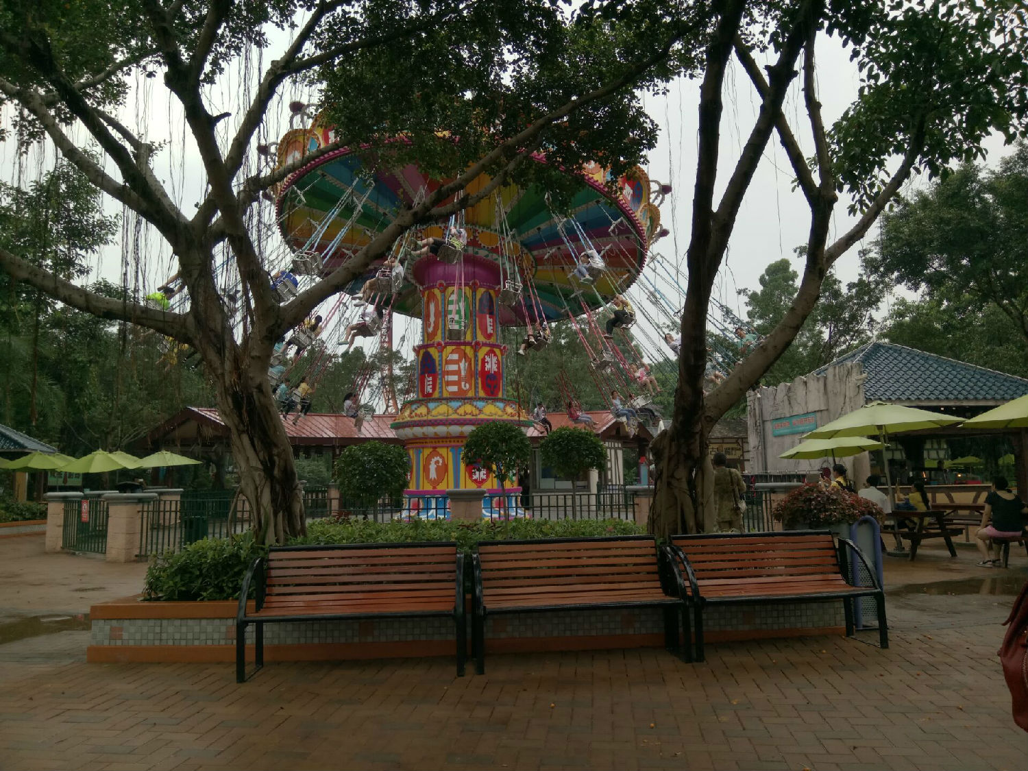 讓人頭暈眼花的飆風(fēng)飛椅 讓人頭暈眼花的飆風(fēng)飛椅